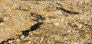Magma Gold